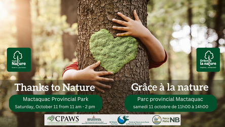 Thanks to Nature