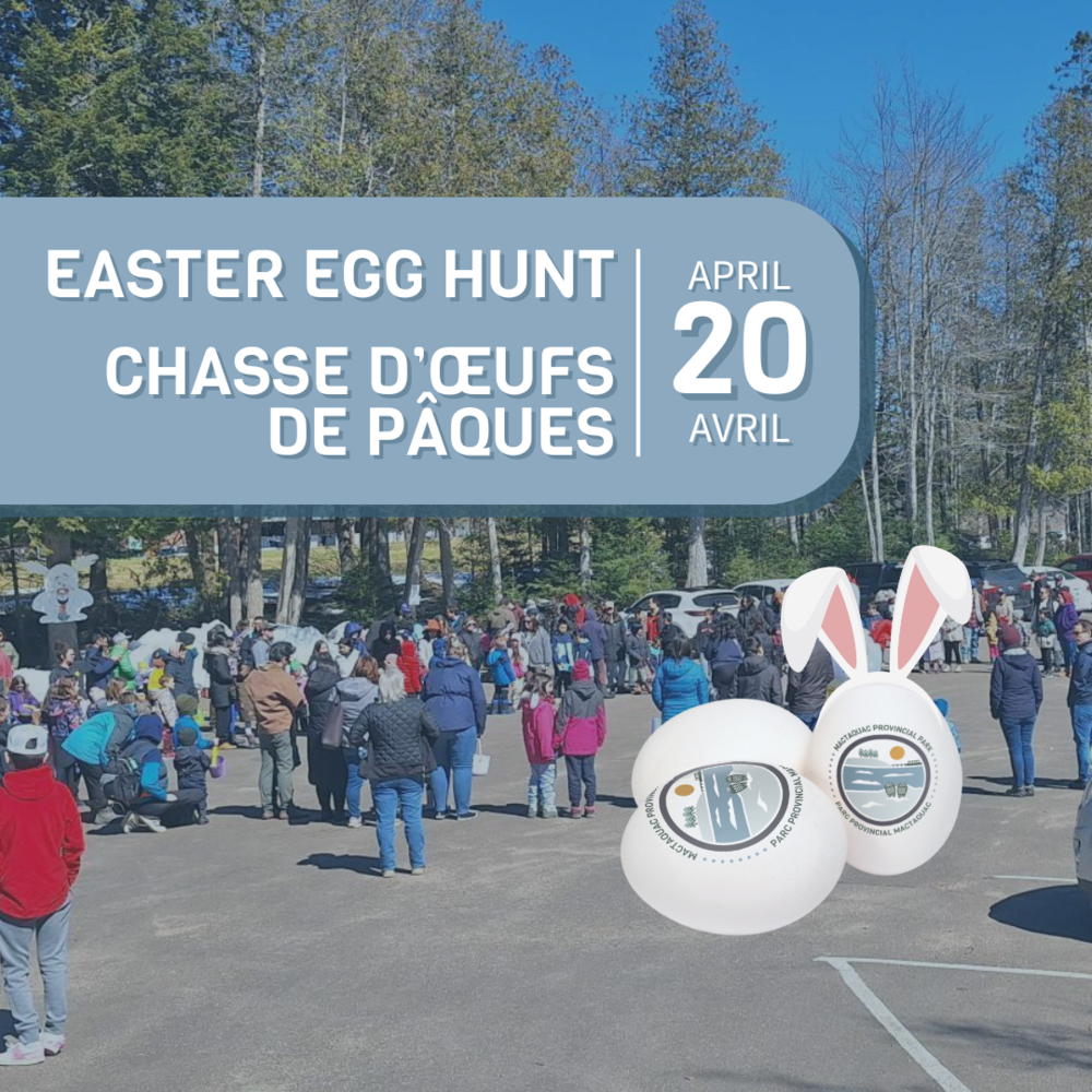 Easter Egg Hunt