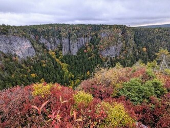 Image de gallerie