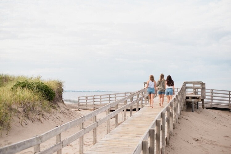 新品 Plage PP (Pake Plage) Parc provincial de la plage Parlee | Parcs | Explorez les