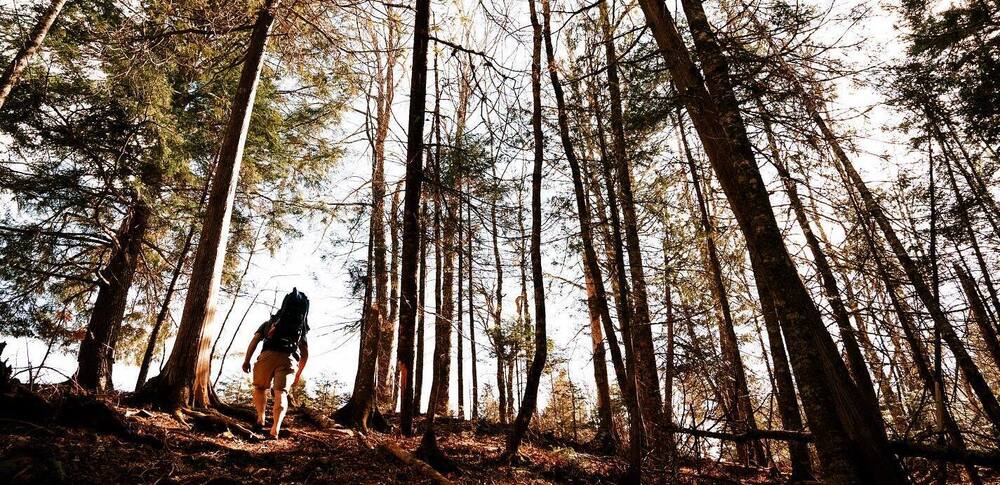 Parc provincial Mactaquac