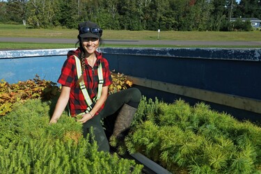 Growing a Forest of Hope: The Road to Planting 500,000 Trees in New Brunswick Provincial Parks
